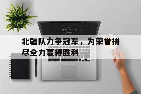 北疆队力争冠军，为荣誉拼尽全力赢得胜利的简单介绍