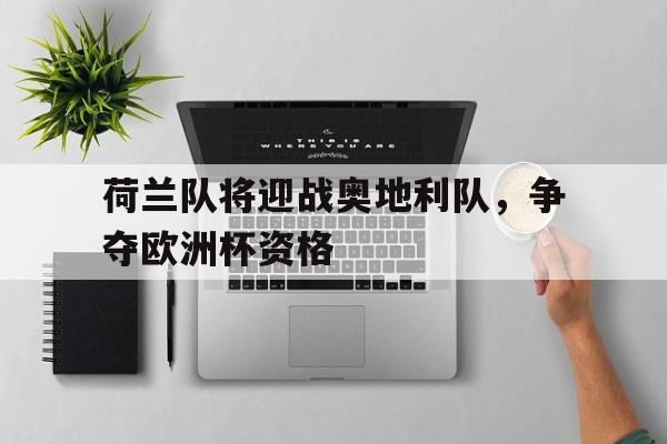 荷兰队将迎战奥地利队，争夺欧洲杯资格